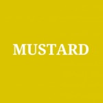 Profile picture of MUSTARD Architects